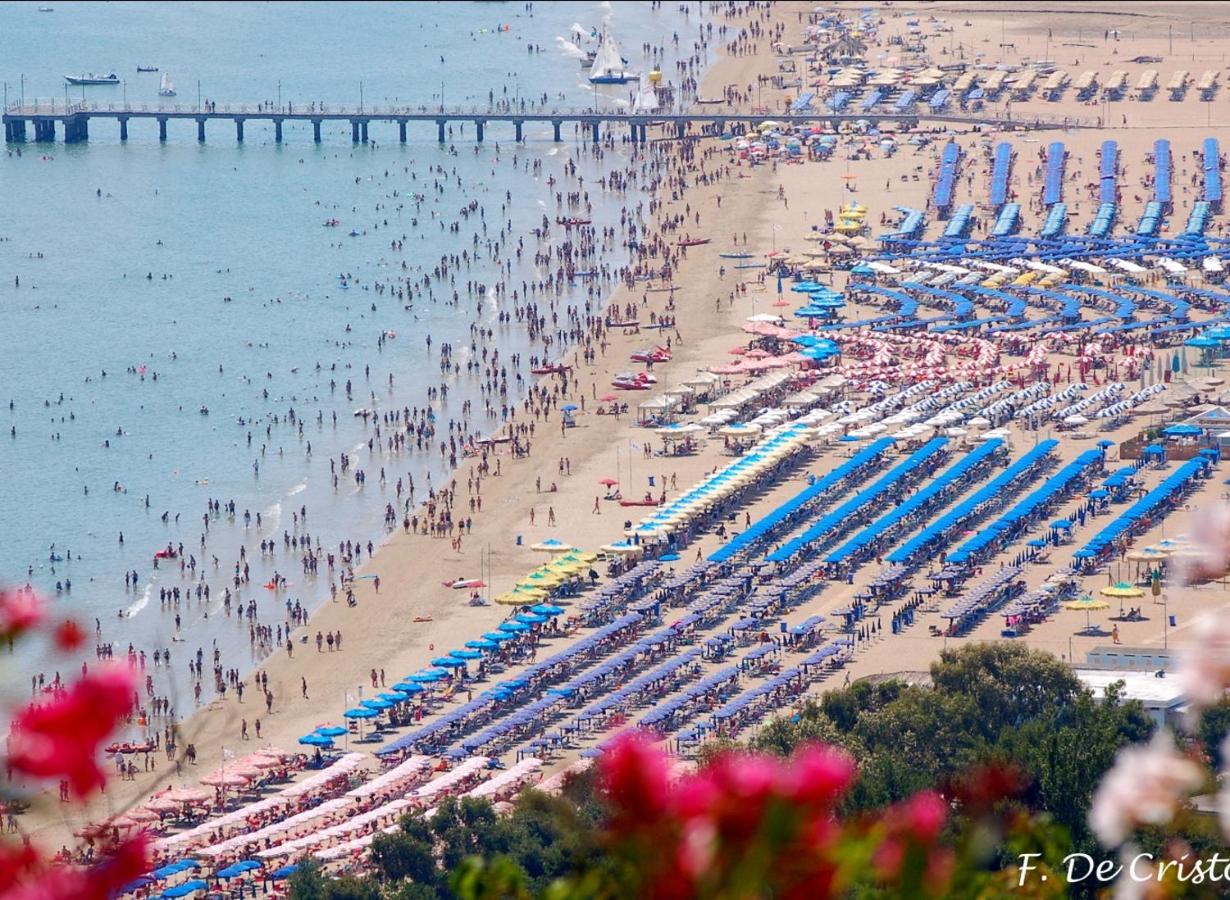 Bed & Breakfast Al Faro Bianco E Con Parcheggio Vasto